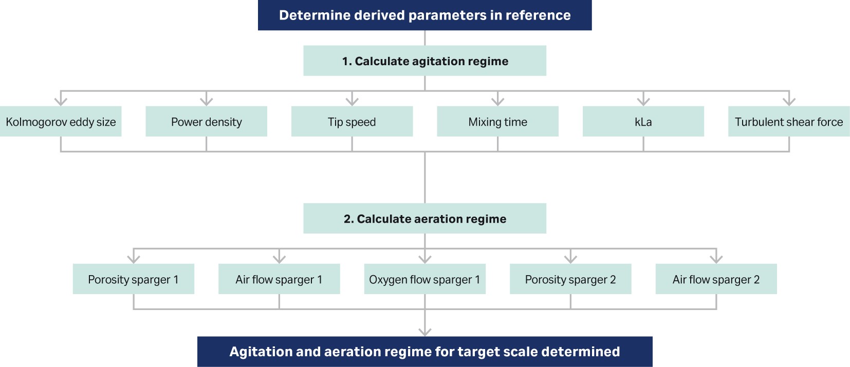 typical steps in bioreactor scaling