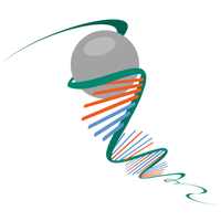 Primer Support 5G 固相合成载体