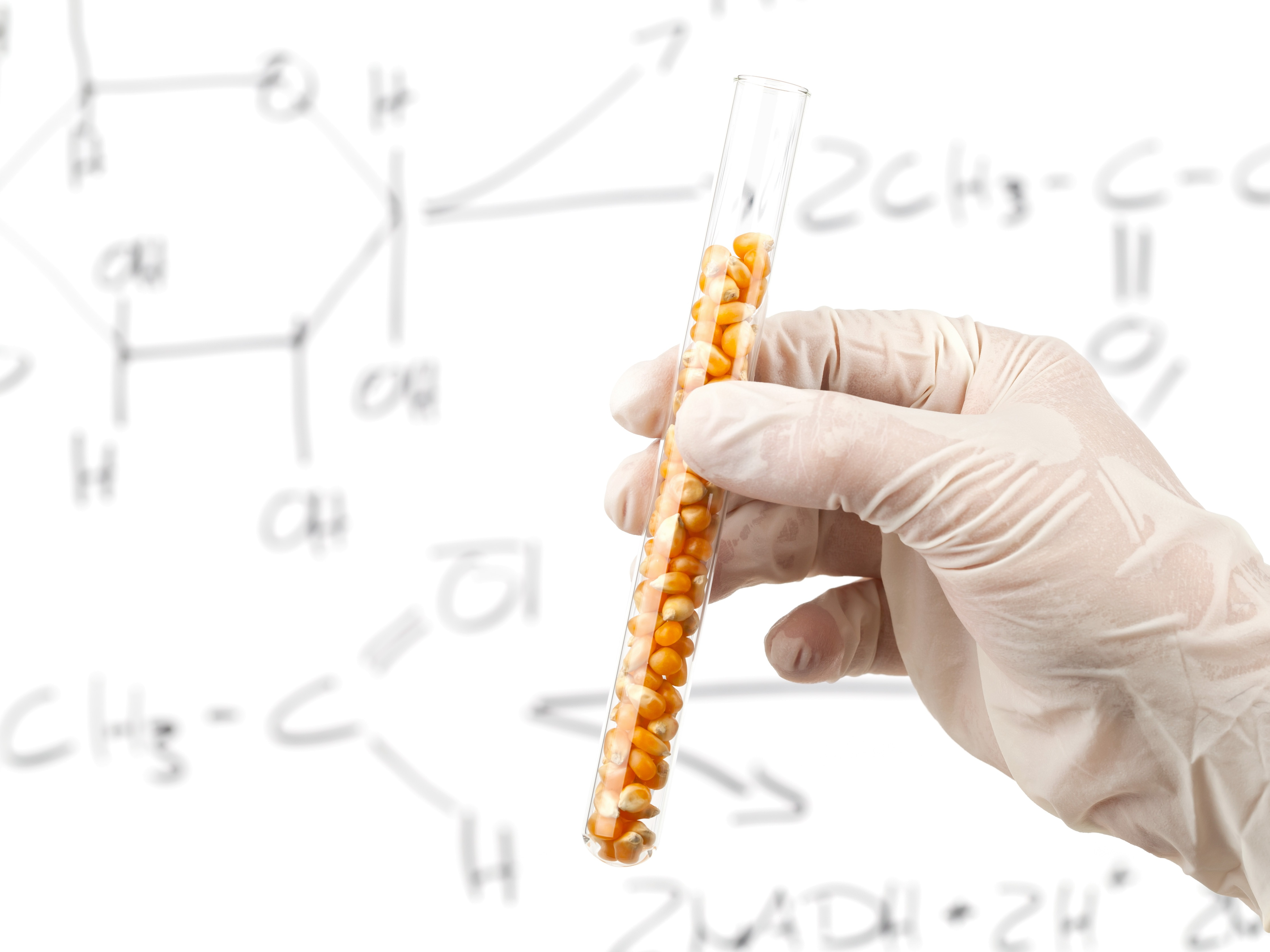 Test tube image for bioethanol