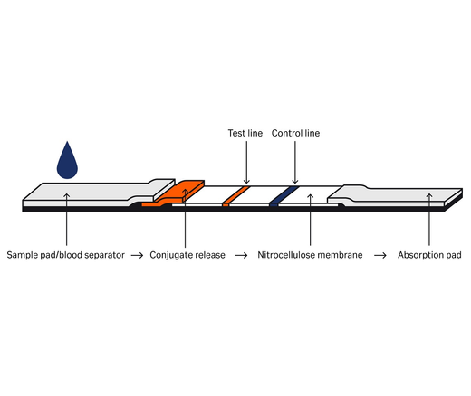 Lateral flow immunoassay drawing content banner