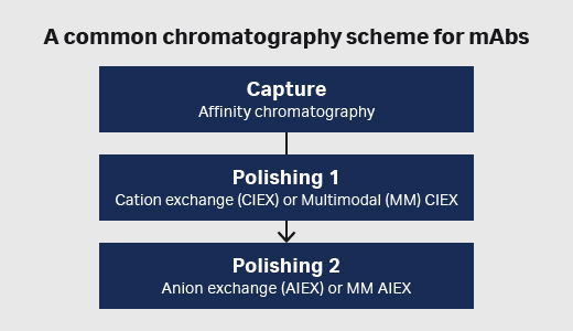 mAb purification CiPP
