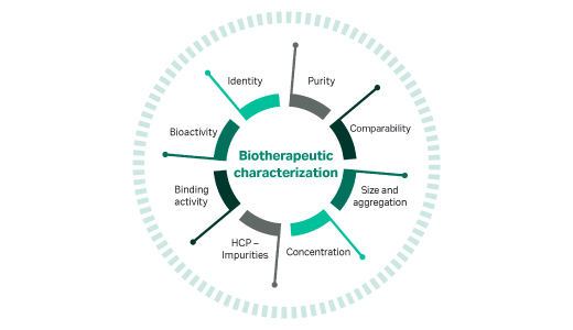 Antibody derivatives