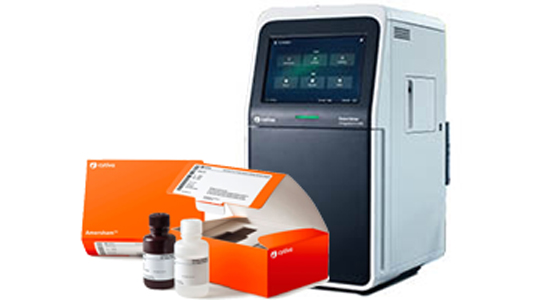 blotting-detection-536x300