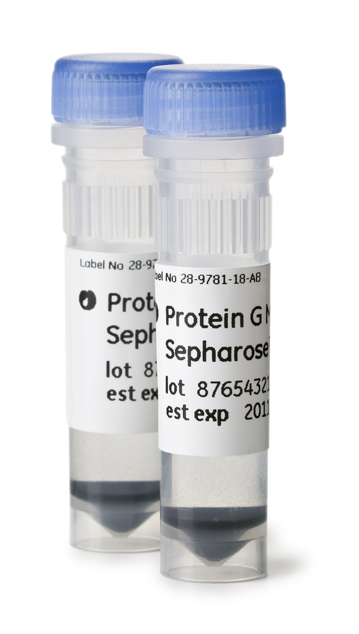 Protein G Mag Sepharose Xtra Cytiva
