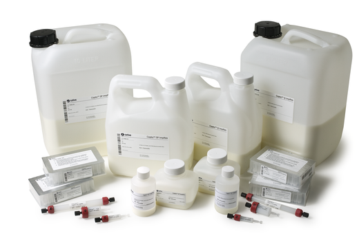 Capto Q ImpRes 离子交换层析填料_离子交换_预装柱，预填充柱_层