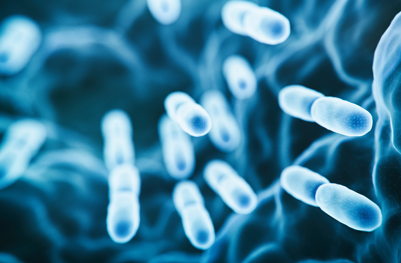 Magnification of legionella bacteria in water