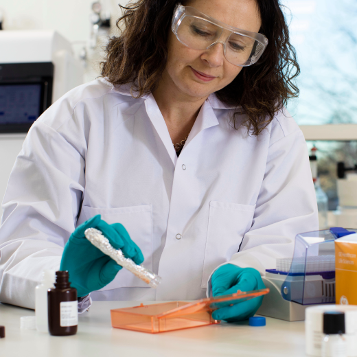 7 steps to western blotting