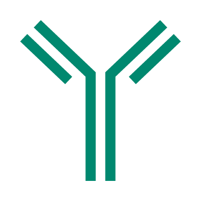 mAbs, monoclonal antibodies, downstream bioprocessing