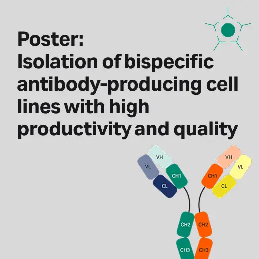 Improve bispescific antibody assembly and purity with GOCHO™