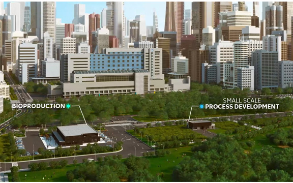 flexible capacity transformed