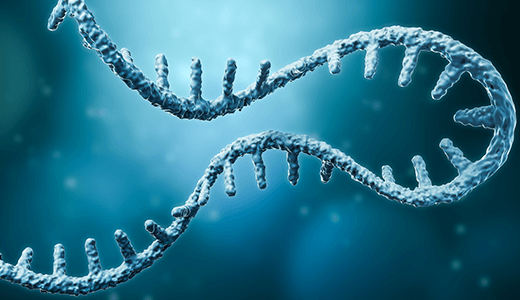 mRNA_520x300.png