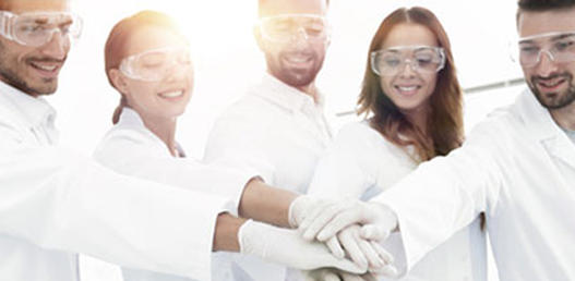 行业广泛合作网络和持续创新能力